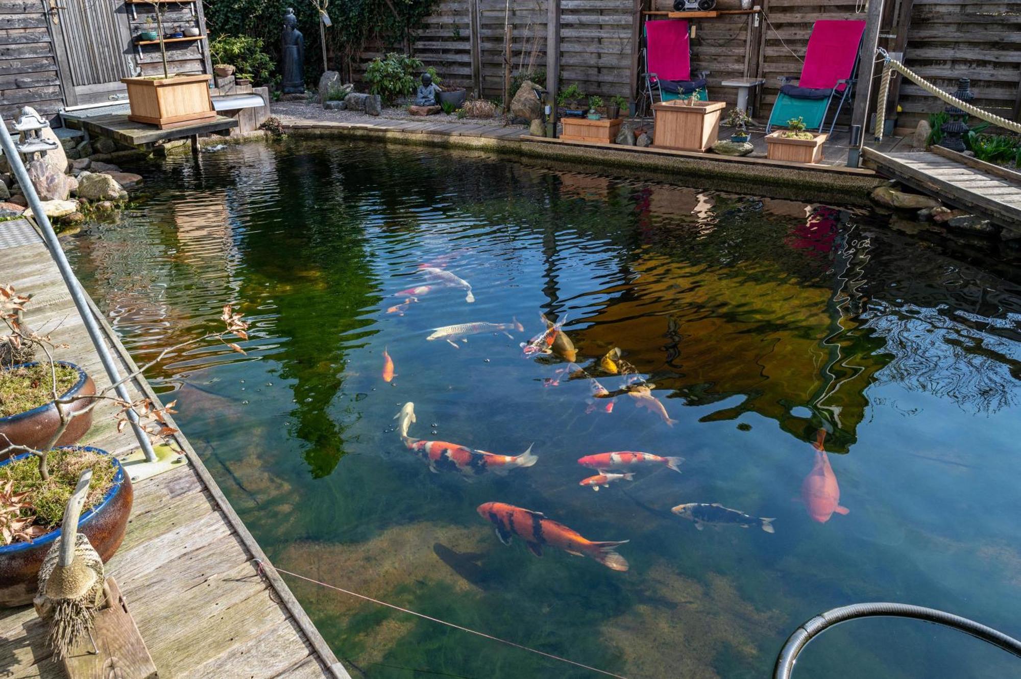 Am Teich Daire Bützow Dış mekan fotoğraf